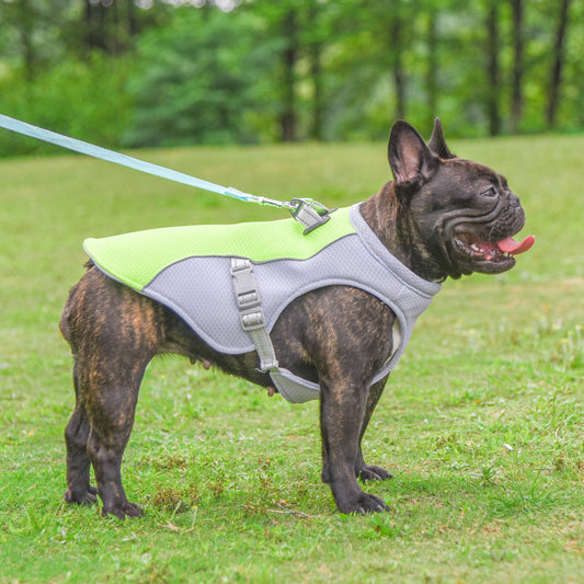 PawBreeze™ Ultra-Cool Dog Vest – UV-Blocking Breathable Summer Wear for All Breeds